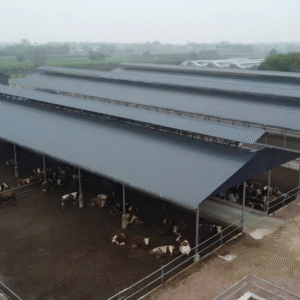 Agricultural Steel Structure Building